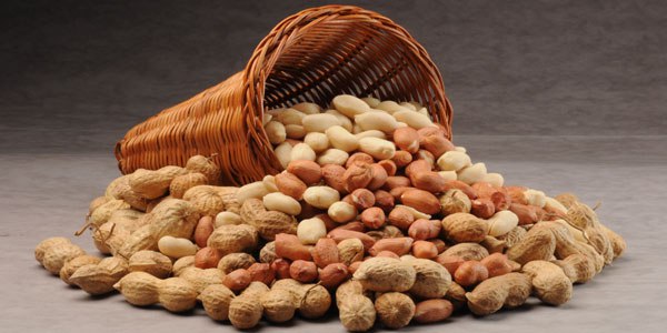 Peanut, that irresistible «Crunch»